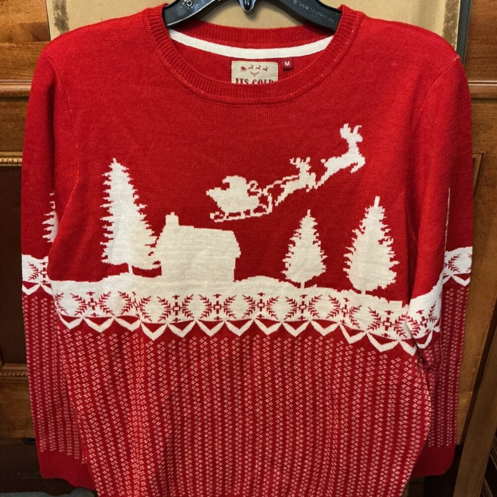 Santa's Sleigh flight scene